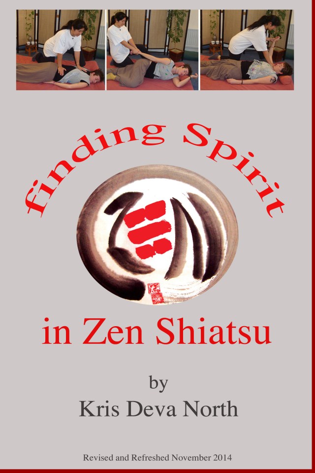 cover_findingspirit